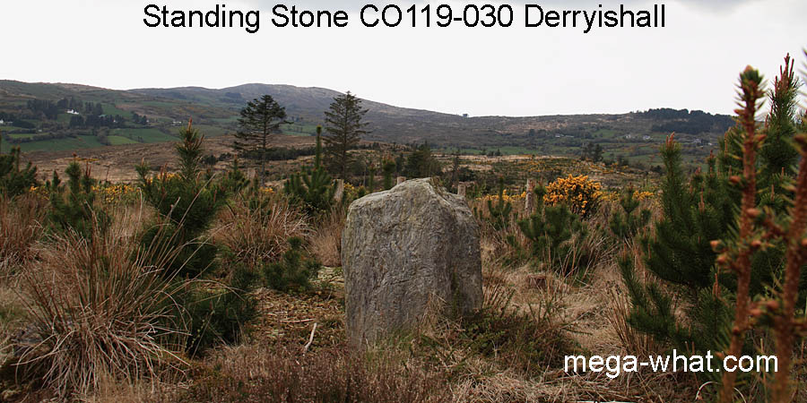 NW from Derryishall Standing Stone, Cork, Ireland.