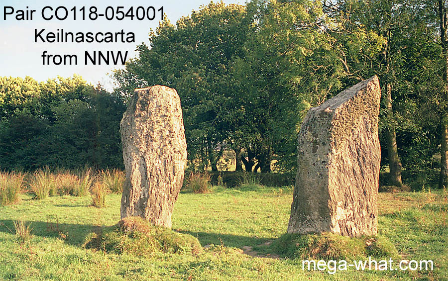 Stone Pair CO118-054001 Keilnascarta, West Cork, Ireland.