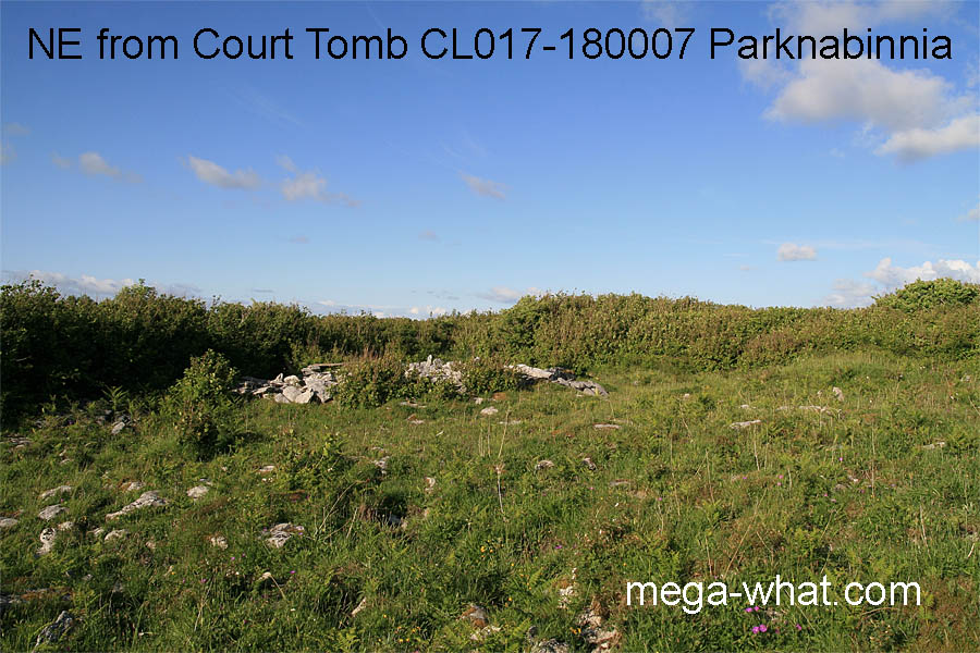 NE from Parknabinnia Court Tomb, Clare, Ireland.